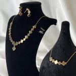 سرویس ظریف ونکلیف